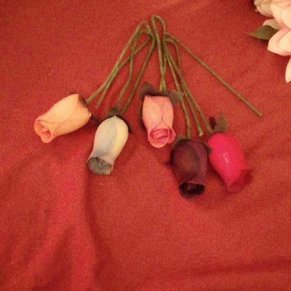 (2 for $20) Rose Collection, Full Lot. - Picture 9 of 14